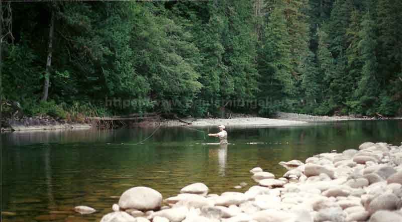 photo of an angler flyfishing on the Conuma River in Nootka Sound