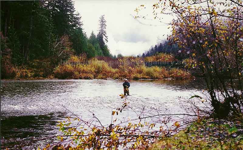 photo of an angler fishing for Steelhead on the Conuma River in Nootka Sound