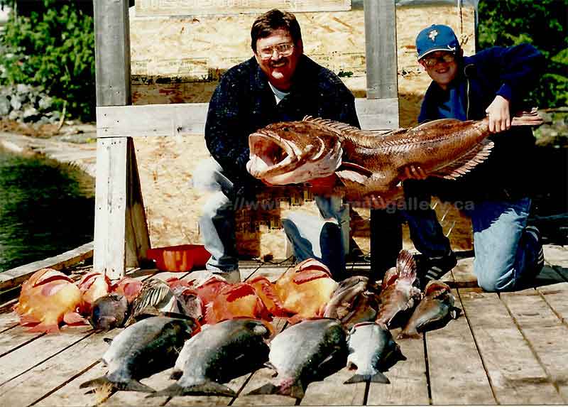 photo of a large lincod before the size limit changes by fisheries and oceans canada