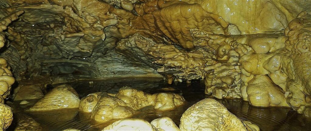 photo of a vancouver island cave