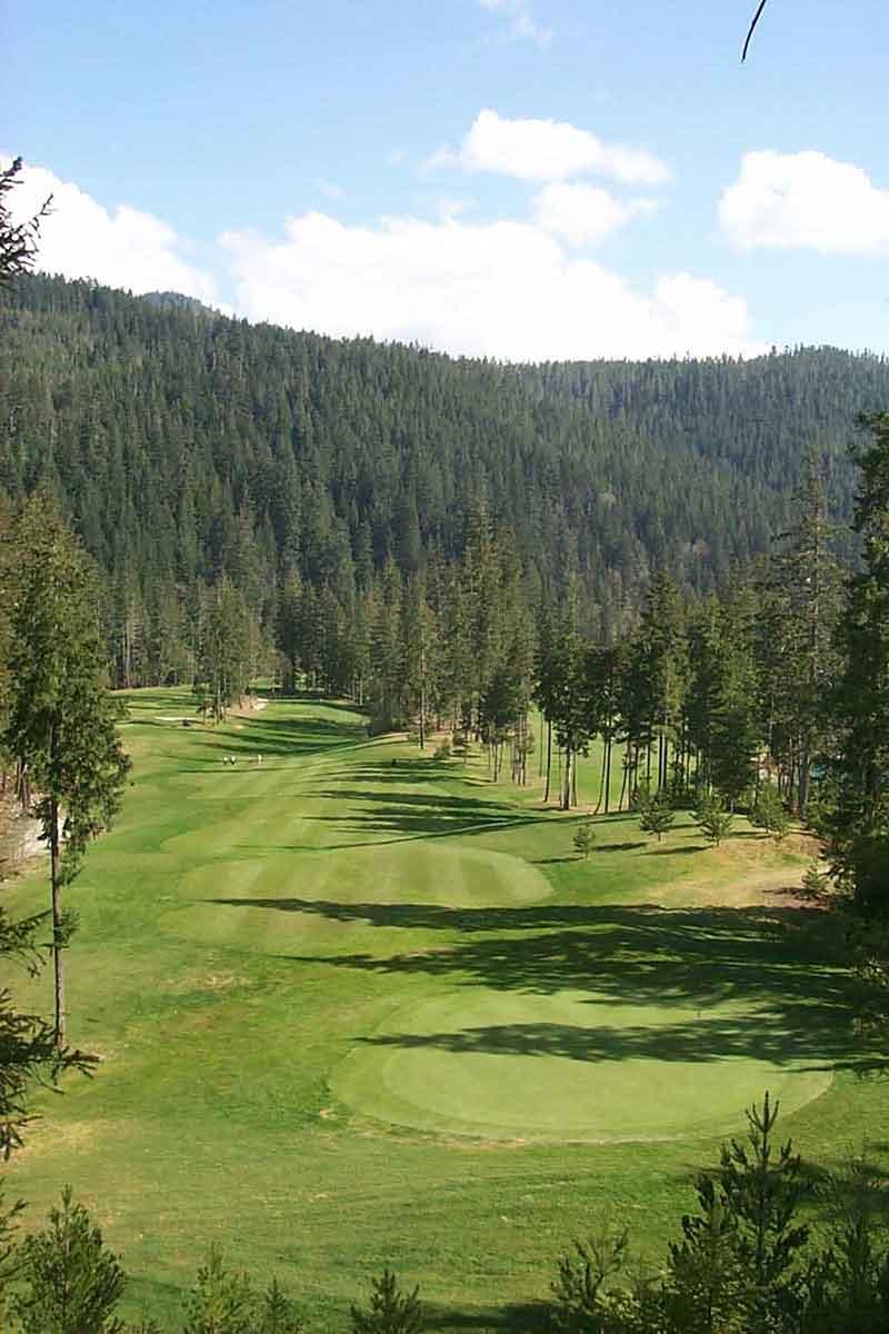 photo of the fairway green on the Gold River Golf Course