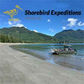 Photo of Shorebird Expeditions